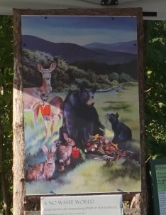 The installed print of Erin's painting, "A No Waste World," is dedicated to all composting efforts in Harrisonburg!